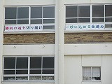 IMG_9495