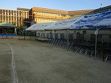 IMG_9494