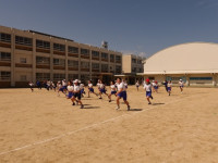 HP1