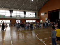 IMGP0666
