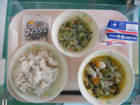 DSCN6661