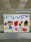 IMG_0791