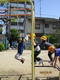 IMG_0919
