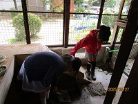 IMG_7136
