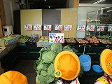 IMG_7744
