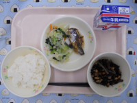 DSCN6449