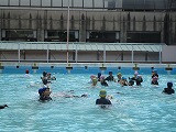 IMG_9253