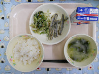 DSCN6664