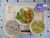 DSCN6665