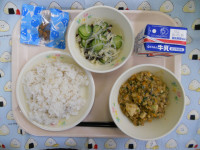 DSCN6667
