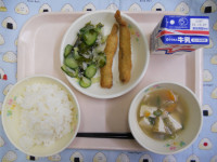 DSCN6695